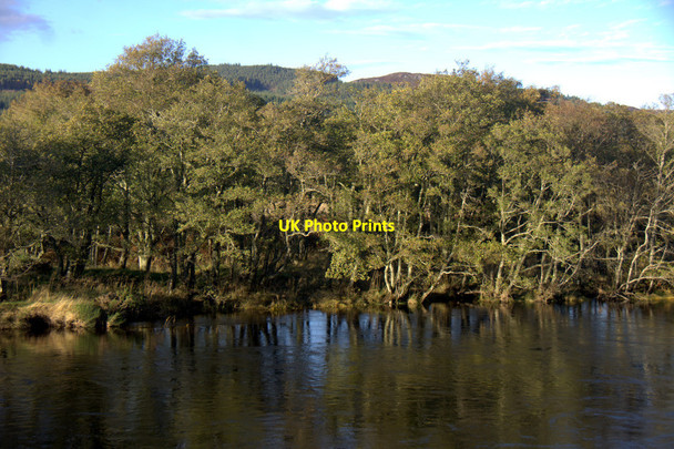 Photo 6"x4" Woodland beside the River Beauly at Erchless Erchless Castle c2012