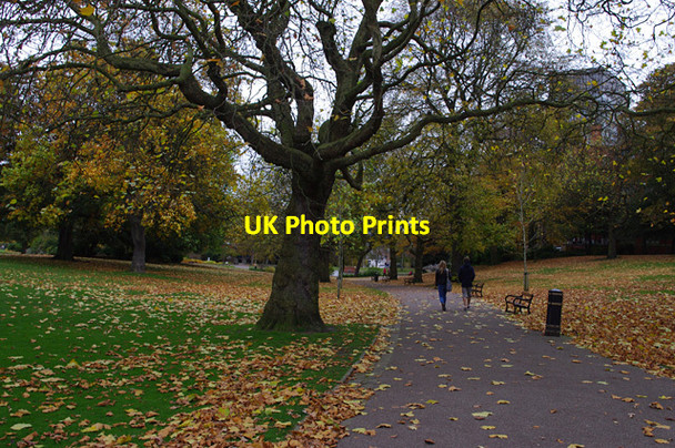 Photo 6"x4" Weston Park Sheffield\/SK3587 c2012