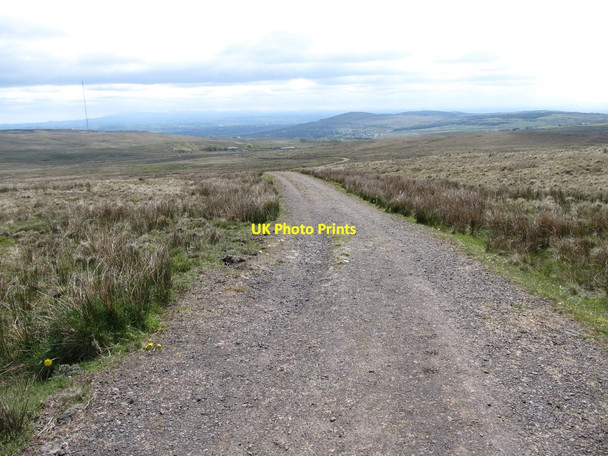 Photo 6"x4" View back along the track in the direction of Divis Lodge Clady\/J2578 c2012