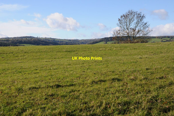 Photo 6"x4" High ground above Longhope Little London\/SO7018 c2012