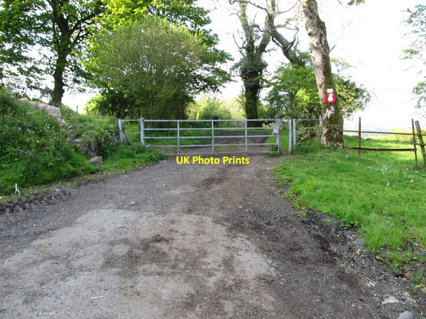 Photo 6"x4" Gate at the top end of Glencairn Road Clady\/J2578 c2012