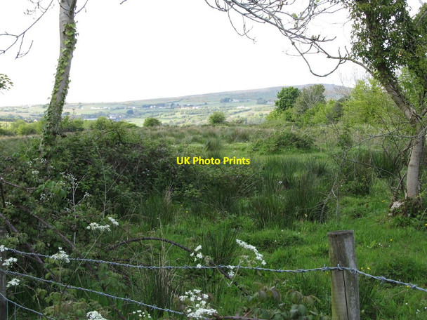 Photo 6"x4" Scrubland on the north side of Glencairn Road Belfast c2012