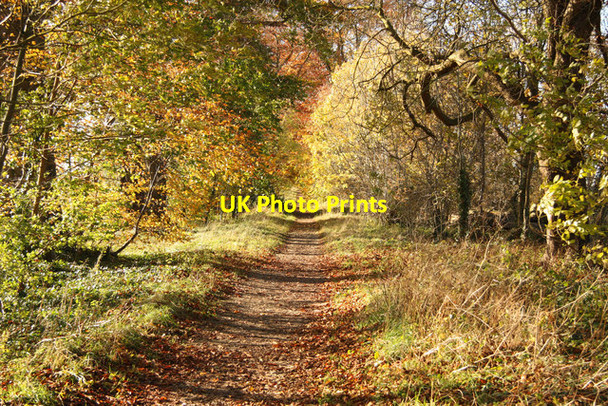 Photo 6"x4" The Old Coach Road Burton-by-Lincoln c2012