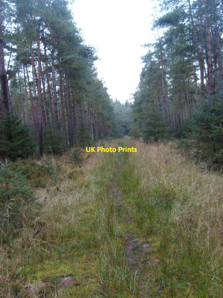 Photo 6"x4" Blawath Road Stape c2012