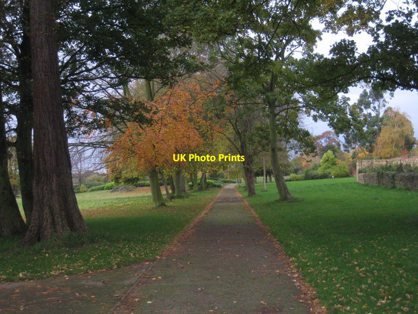 Photo 6"x4" Avenue, Cusworth Park Bentley\/SE5605 c2012