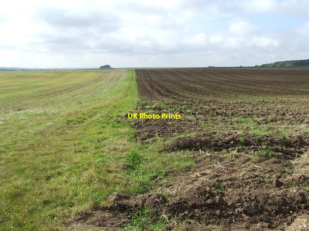 Photo 6"x4" Half Ploughed Balsam c2012