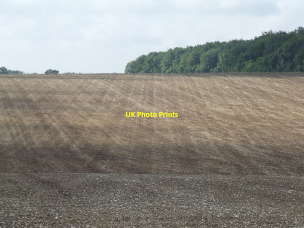 Photo 6"x4" Field Markings Balsam c2012