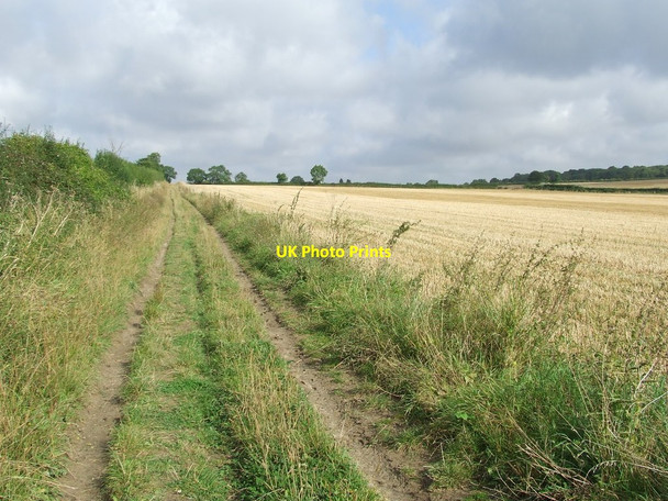 Photo 6"x4" Footpath And Field Balsam c2012
