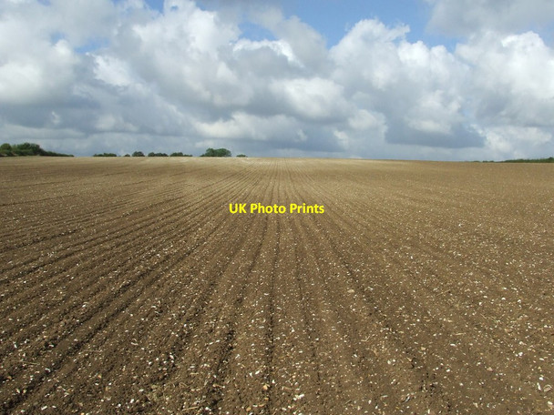 Photo 6"x4" Ploughed Field Balsam c2012