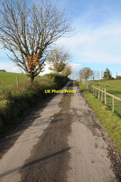 Photo 6"x4" Road to Chessgrove Farm Brimps Hill c2012