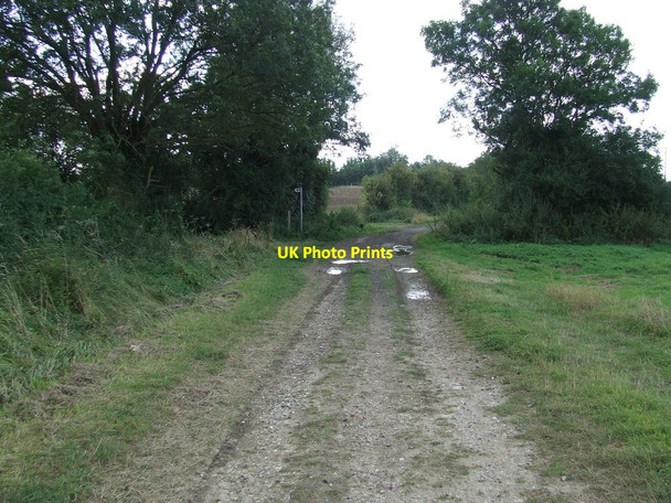 Photo 6"x4" Footpath Junction Balsam c2012
