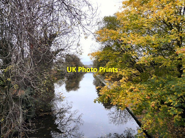 Photo 6"x4" Ashton Canal Denton\/SJ9295 c2012