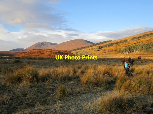 Photo 6"x4" Cnoc na Broc Achnasheen\/Achadh na Sine c2012