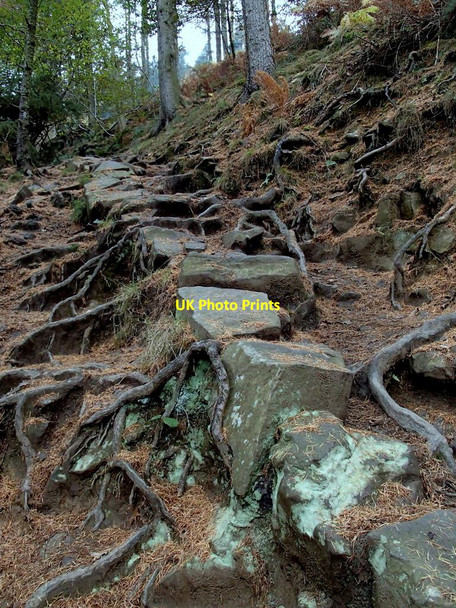 Photo 6"x4" Path by Parkin Clough Ashopton c2012