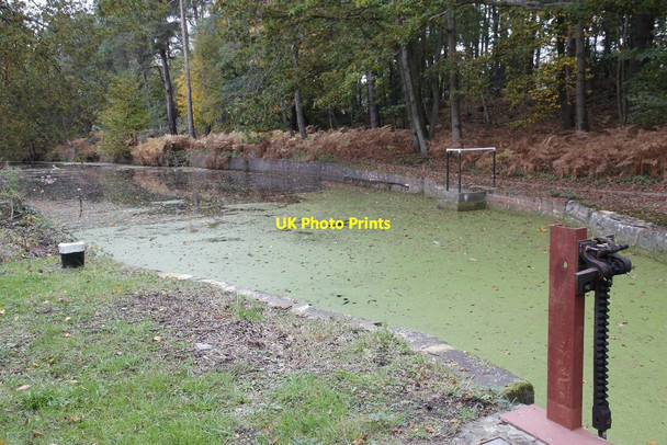 Photo 6"x4" Wharf near the lock Pirbright Camp c2012