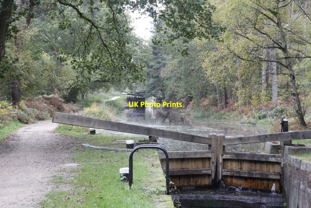 Photo 6"x4" Towards Lock 24 Pirbright Camp c2012