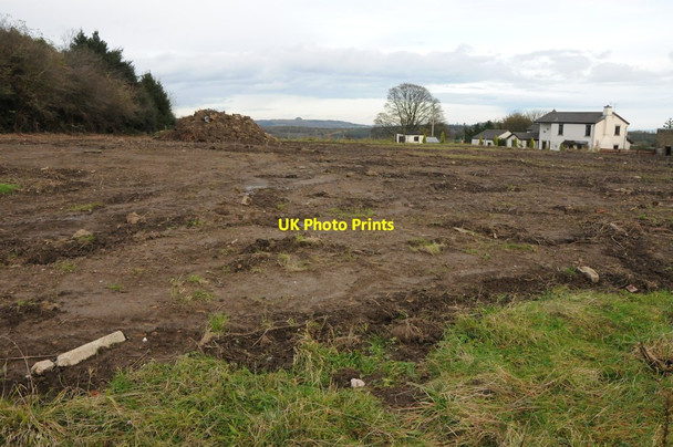 Photo 6"x4" Clear land at Ruardean Hill Harrow Hill\/SO6416 c2012