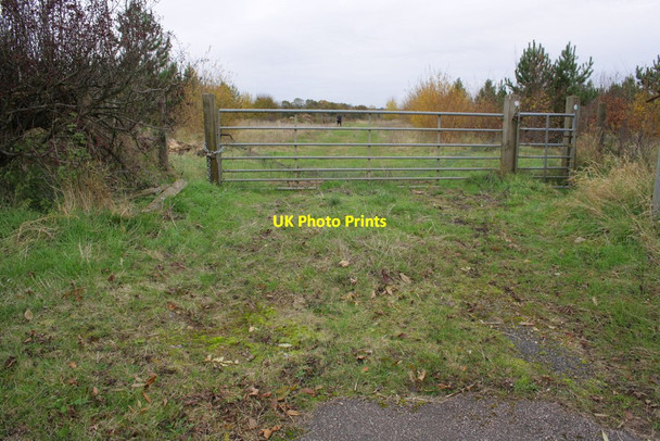 Photo 6"x4" Gateway across track from A4260 Bunkers Hill\/SP4717 c2012