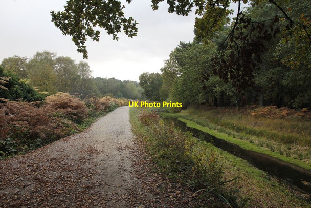 Photo 6"x4" Towpath to Lock 26 Pirbright Camp c2012
