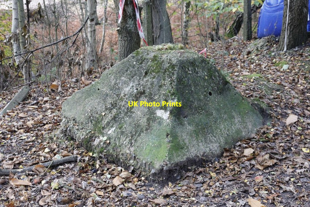 Photo 6"x4" A lonely tooth Pirbright Camp c2012