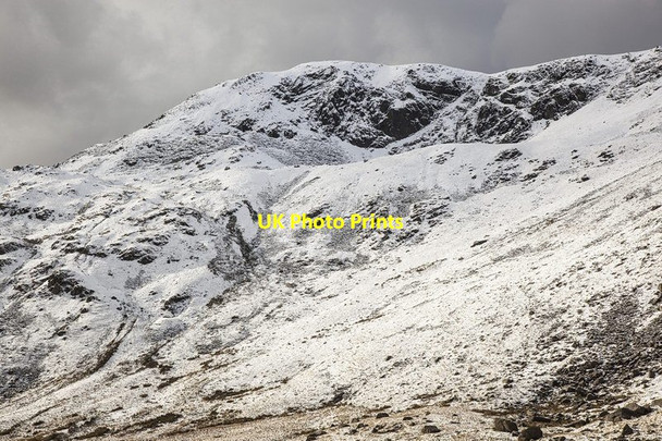 Photo 6"x4" Brown Pike Scar Head c2012