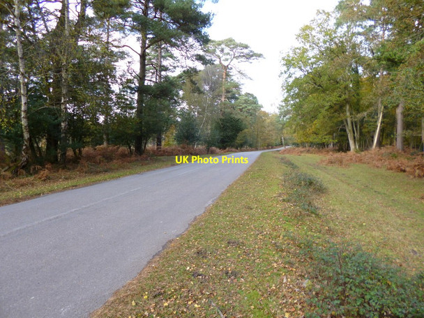Photo 6"x4" Rhinefield Road North Weirs c2012