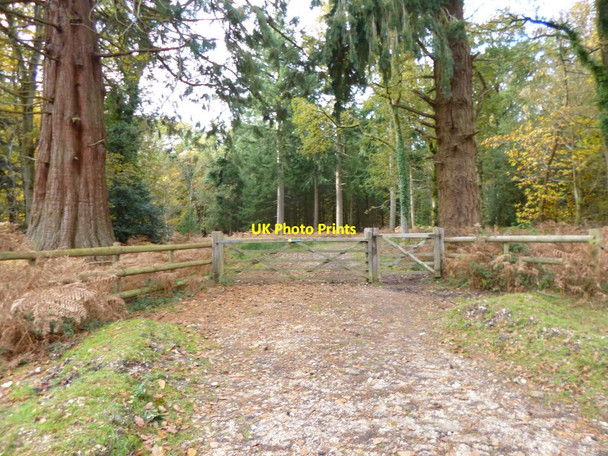 Photo 6"x4" Rhinefield, gates North Weirs c2012