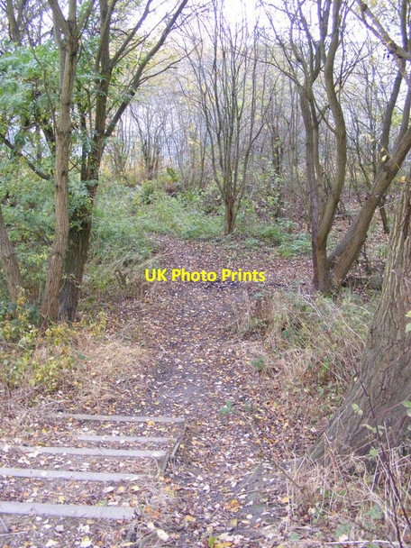 Photo 6"x4" Hilton Wood Path Coseley c2012