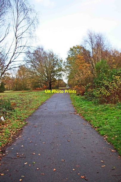 Photo 6"x4" Path in Burlish Top Nature Reserve, Stourport-on-Severn Stourport-on-Severn c2011