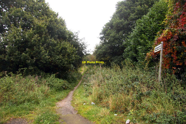 Photo 6"x4" Footpath to Trentham Hanchurch c2012