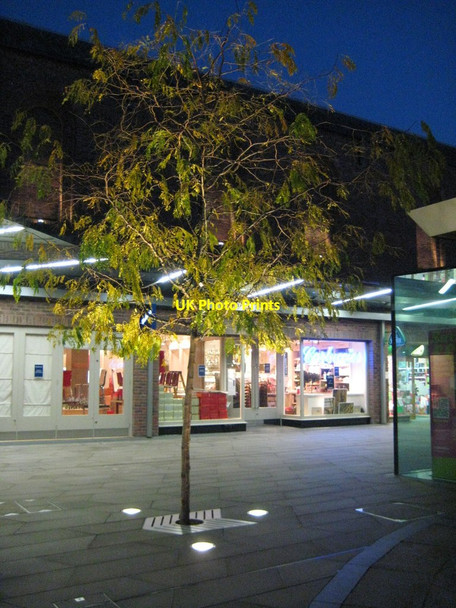 Photo 6"x4" Tree in the Crowngate shopping centre Worcester c2012