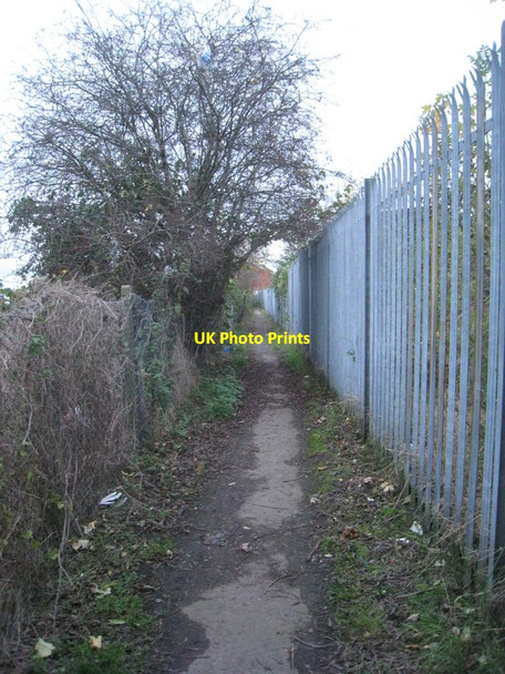Photo 6"x4" Path to Millfield Road Bentley\/SE5605 c2012