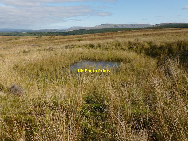 Photo 6"x4" Water-filled pit Mill of Haldane c2012