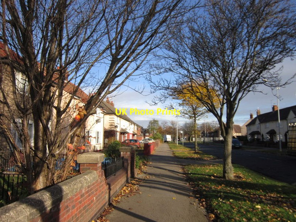 Photo 6"x4" Staveley Road, Hull Neat Marsh c2012