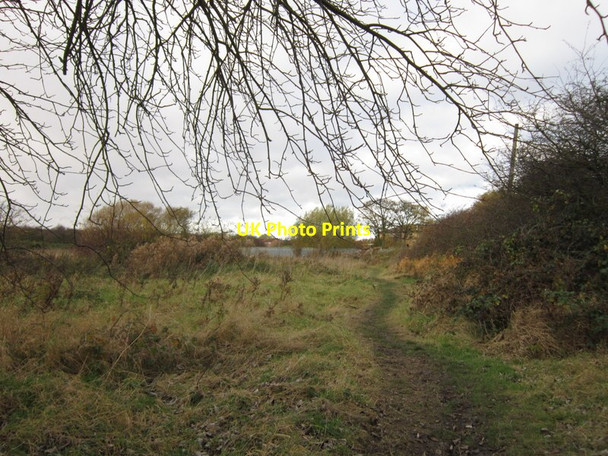 Photo 6"x4" A path leading to Preston Road Marfleet c2012