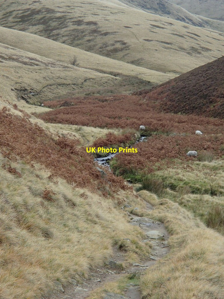 Photo 6"x4" Valley scene, upper reaches of Shelf Brook Old Glossop c2012