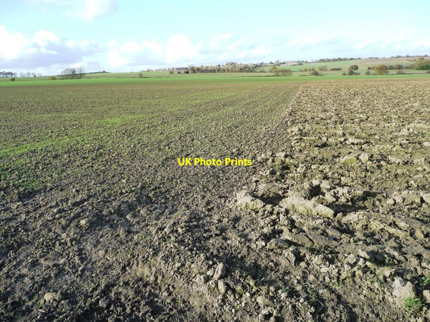 Photo 6"x4" Vestigial field boundary, west of Kinsley Hemsworth\/SE4213 c2012