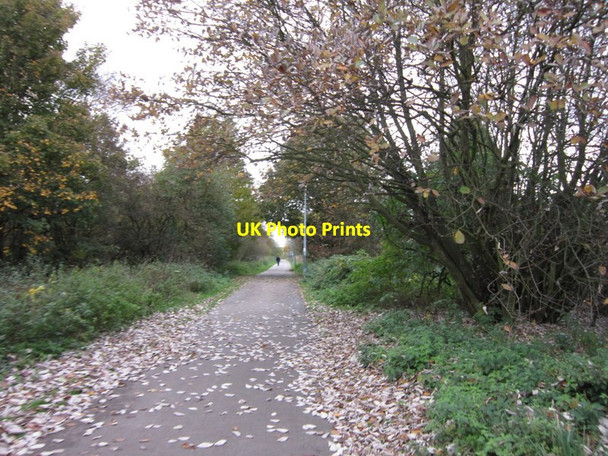 Photo 6"x4" The former Withernsea railway line Marfleet c2012