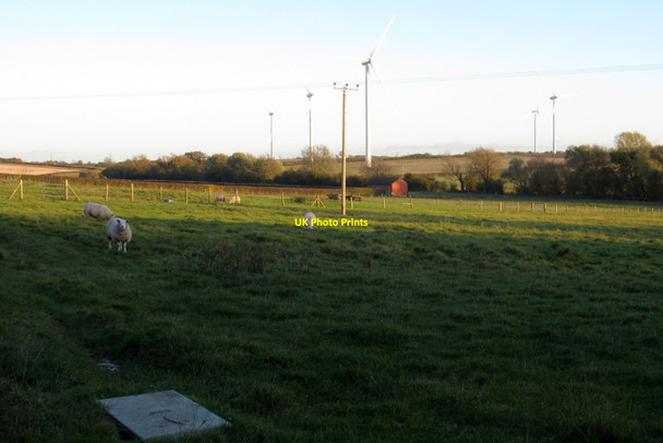 Photo 6"x4" Pasture by Petsoe Manor Farm Petsoe End c2012