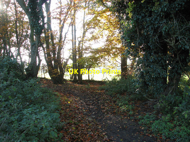 Photo 6"x4" Beach Walk, Keswick Keswick\/TG2004 c2012