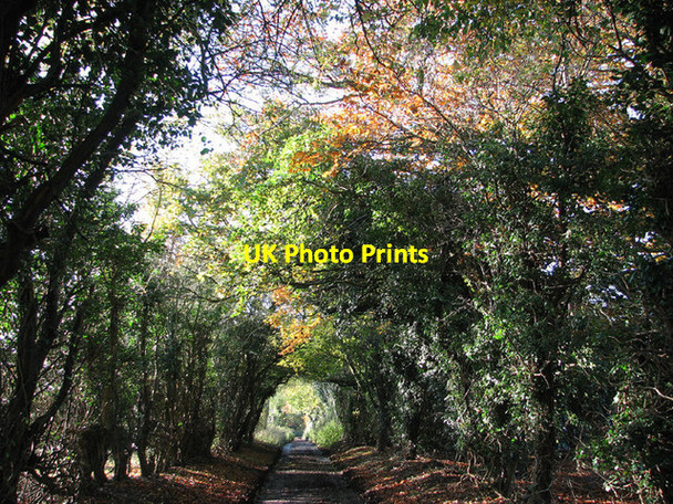 Photo 6"x4" Disused road, Keswick Keswick\/TG2004 c2012