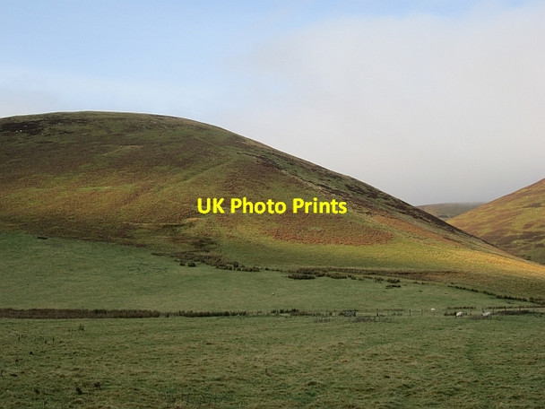 Photo 6"x4" Congrie Hill Kingledores c2012