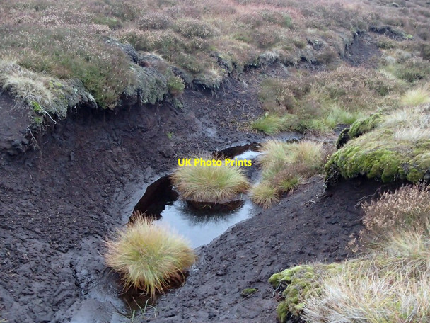 Photo 6"x4" Moorland peat and grasses Crowden\/SK0799 c2012