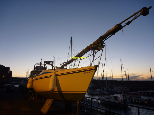 Photo 6"x4" Coastal East Lothian : A Narwhal At North Berwick Harbour North Berwick c2012