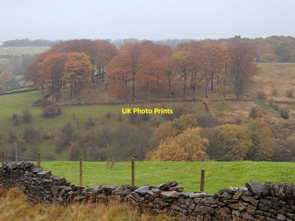 Photo 6"x4" Fields and trees near Glossop Glossop c2012