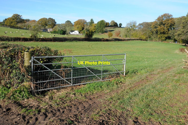 Photo 6"x4" Field entrance Pit c2012
