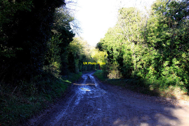 Photo 6"x4" White Shoot to the Ridgeway Woodway c2012