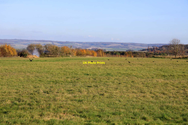 Photo 6"x4" Looking across a field towards Oven Bottom Woodway c2012
