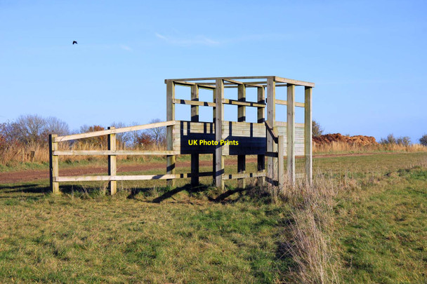 Photo 6"x4" Training stalls on the gallops Woodway c2012