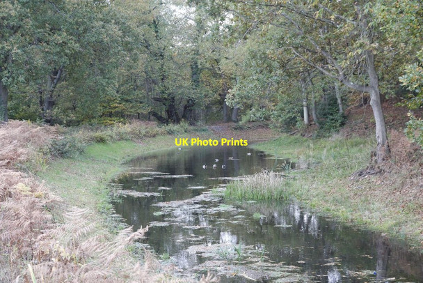 Photo 6"x4" Drained canal Pirbright Camp c2012